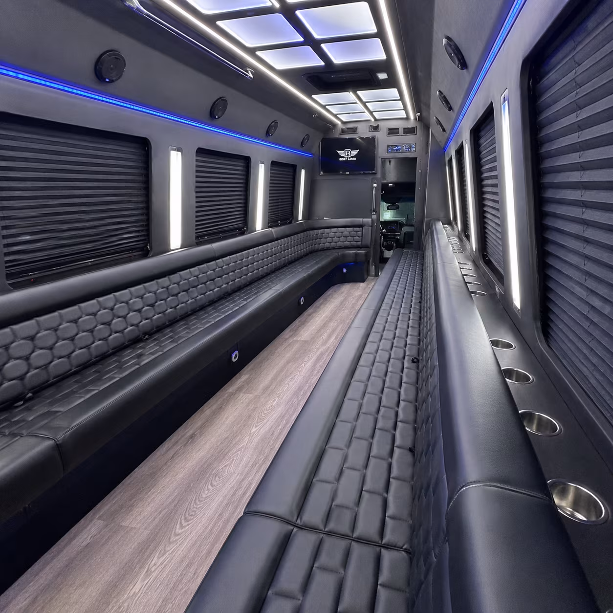 birthday party bus rental